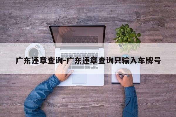 广东违章查询-广东违章查询只输入车牌号