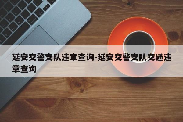 延安交警支队违章查询-延安交警支队交通违章查询